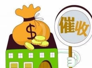 深圳投资管理公司的业务转型与市场新发展解析